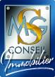 logo msg conseil