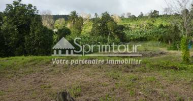 gourbeyre terrain de 1200m2