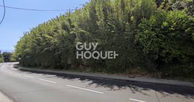 terrain mont vert les hauts - 1 300 m²