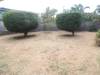 miniature