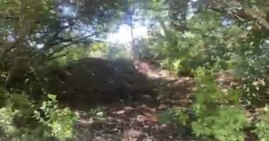 terrain constructible de 800 m²