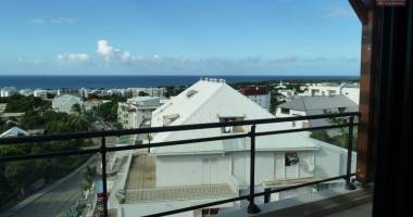 a louer grand t1 bis à ste clotilde residence lobellia